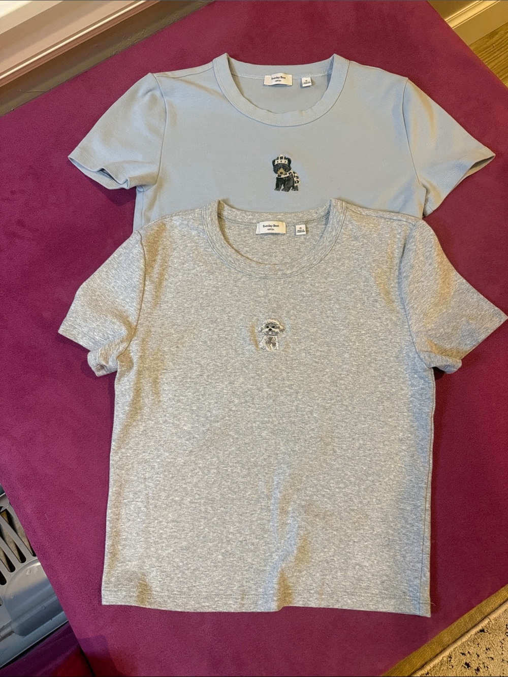 Aritzia Sunday Best shirts